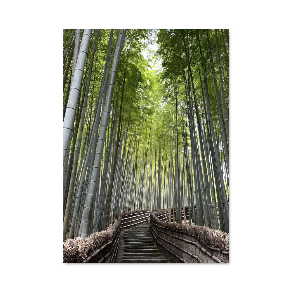 Poster Bamboo forest 94932