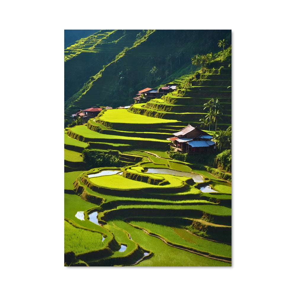Poster Banaue rice terraces 88969