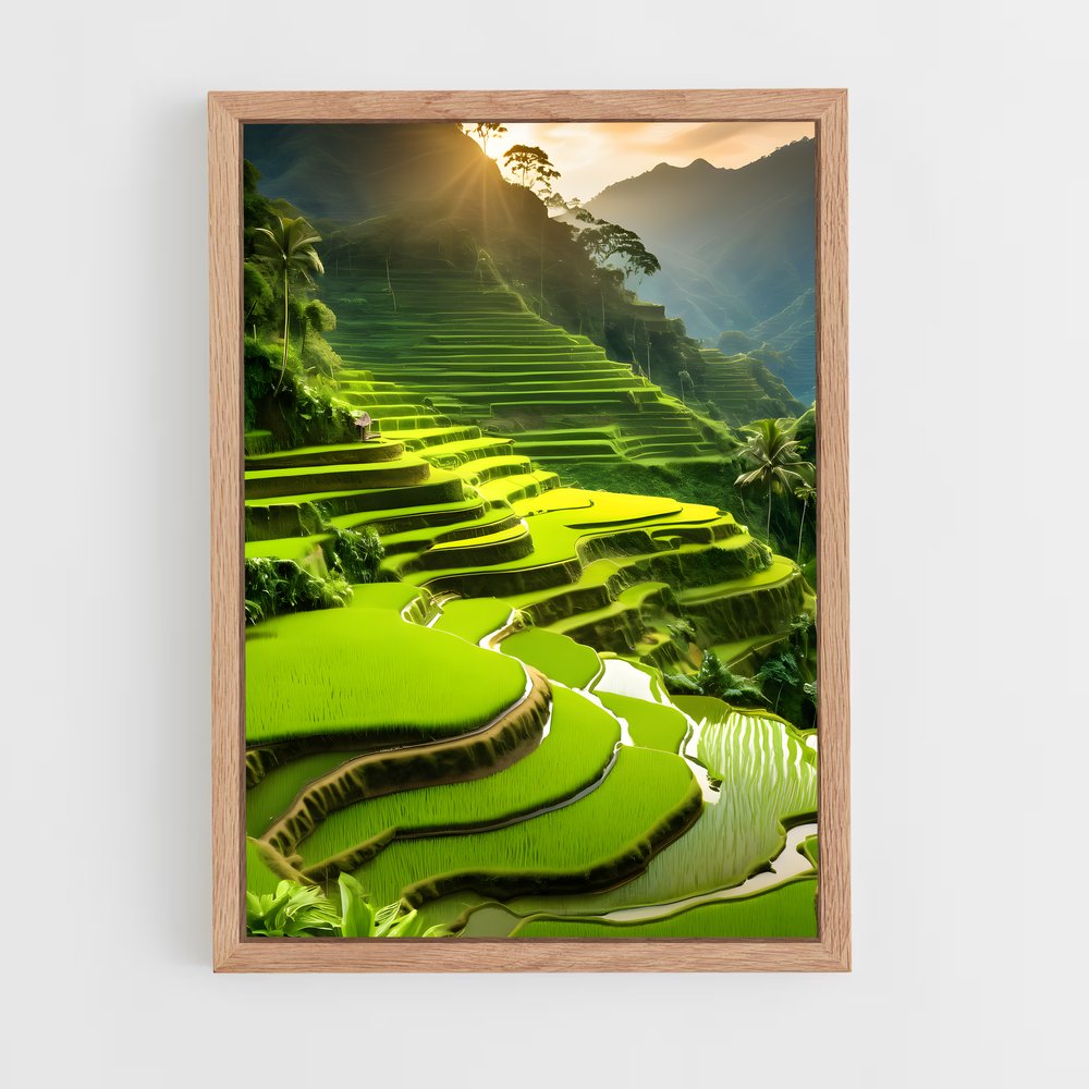 ap-banaue rice terraces-10 cadre Bois clair