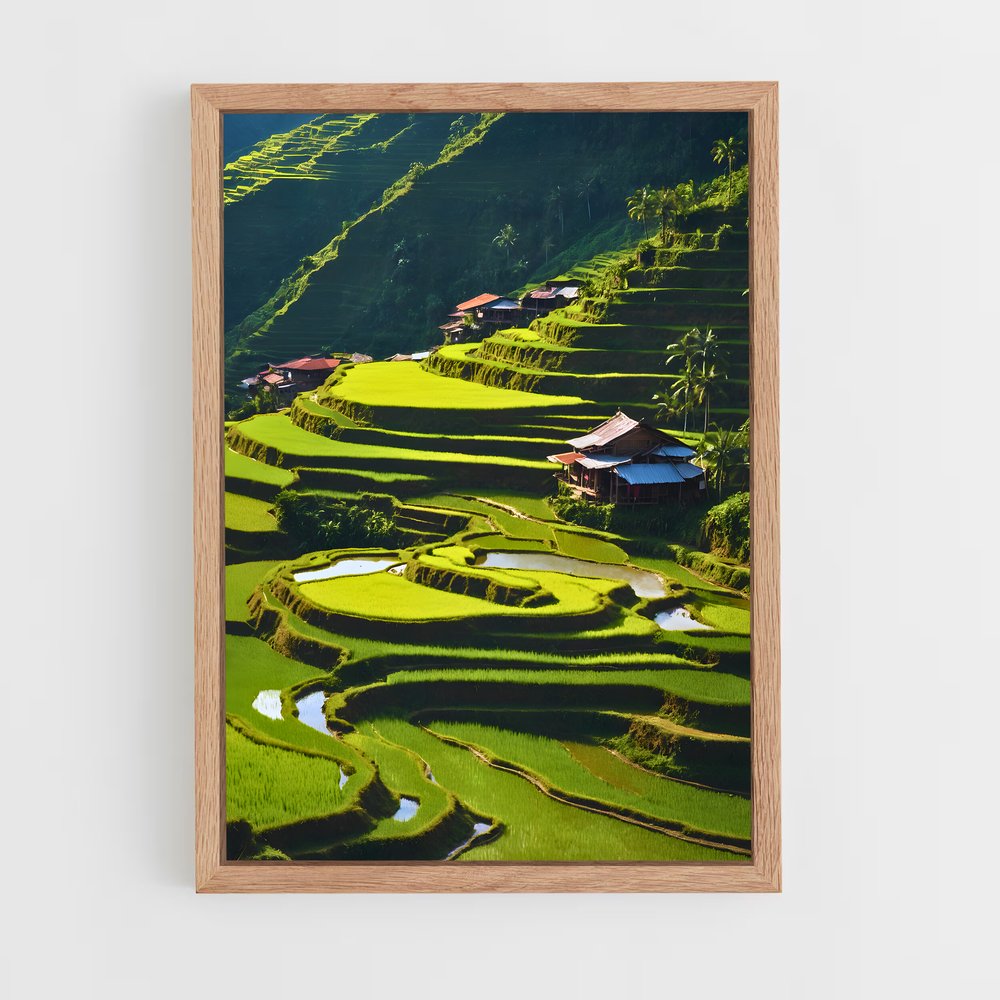 ap-banaue rice terraces-4 cadre Bois clair