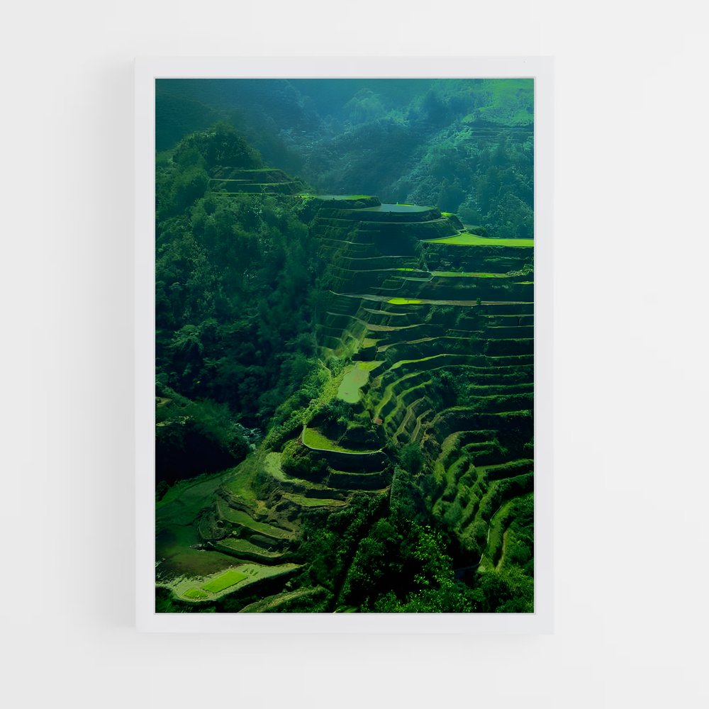 ap-banaue rice terraces-6 cadre Blanc