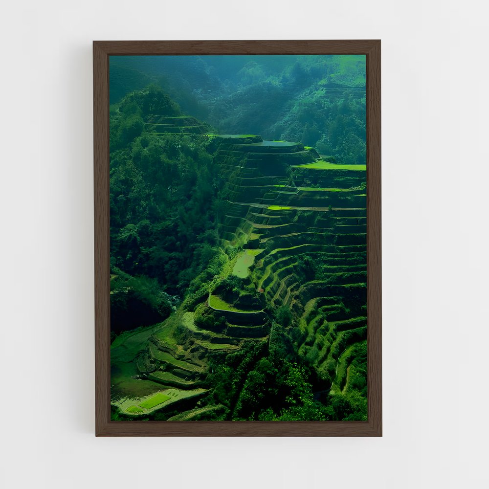 ap-banaue rice terraces-6 cadre Bois foncé