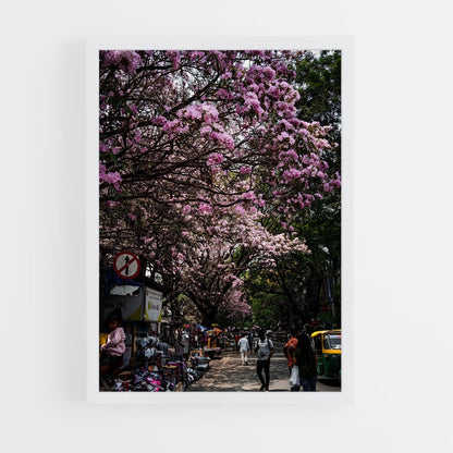ap-bangalore-9 cadre Blanc