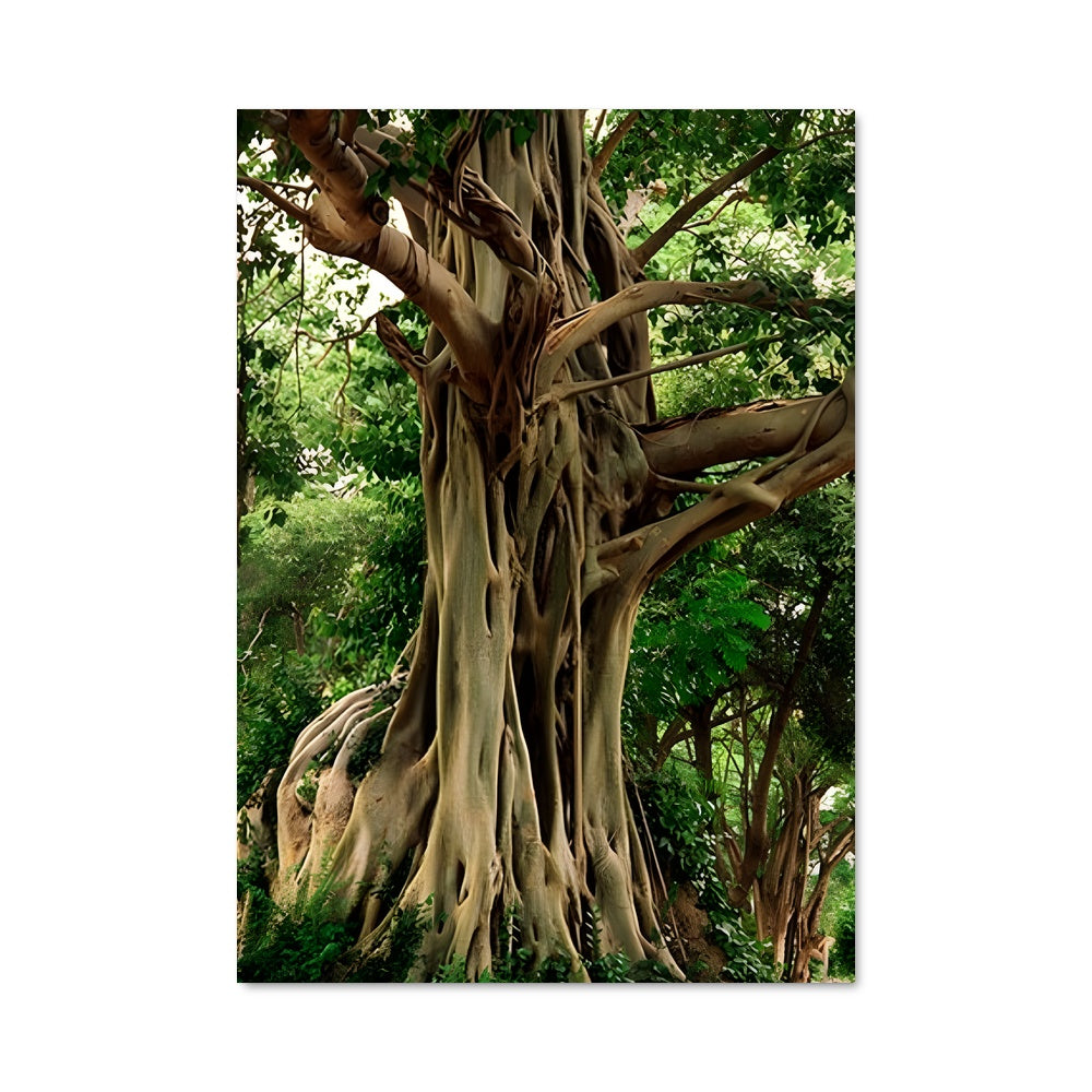 Poster Les Racines de la Vie