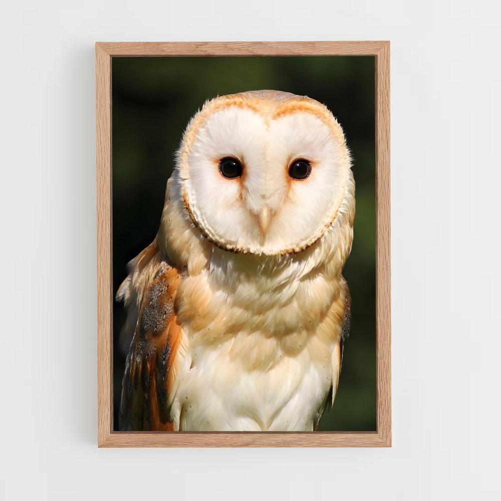 ap-barn owl-2 cadre Bois clair