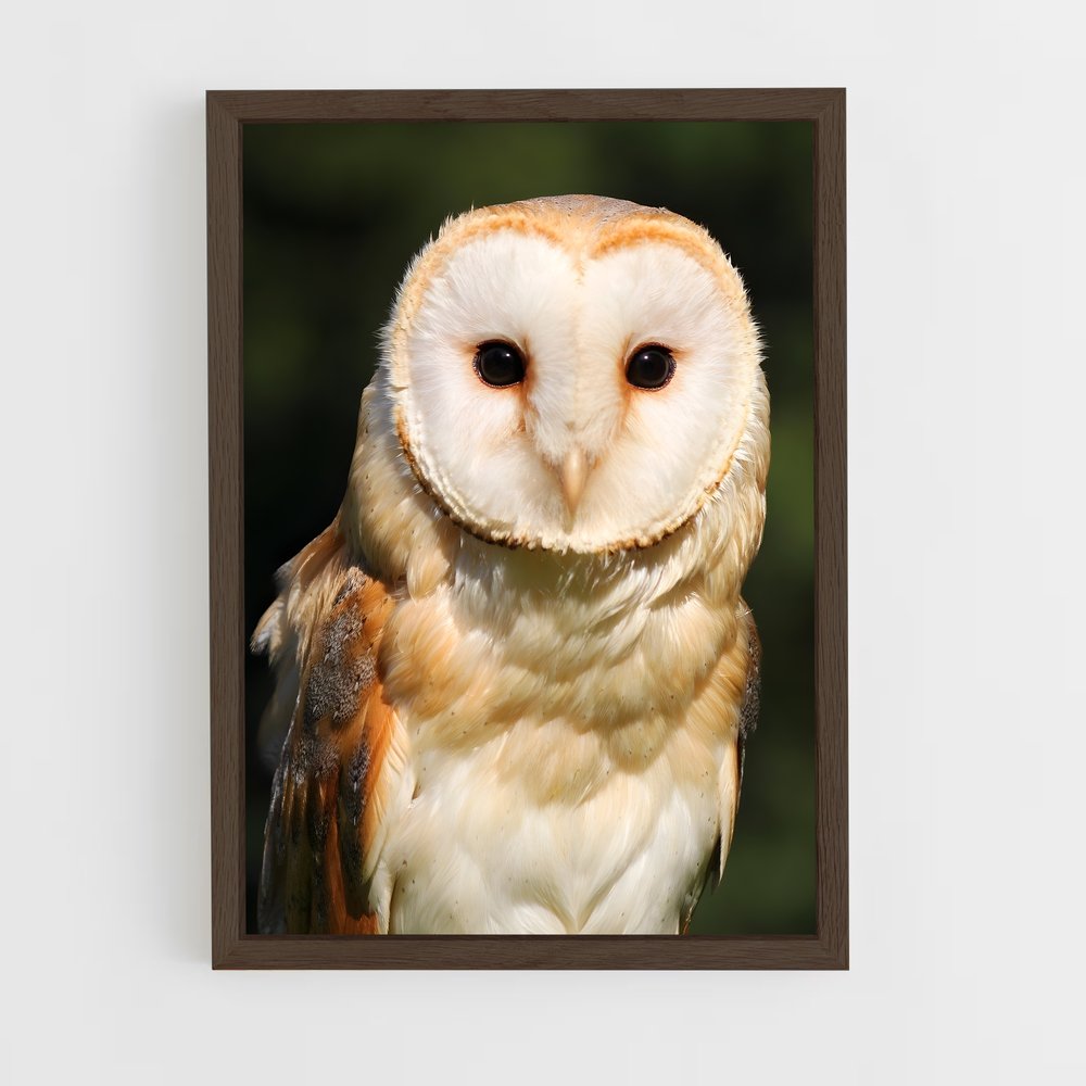 ap-barn owl-2 cadre Bois foncé
