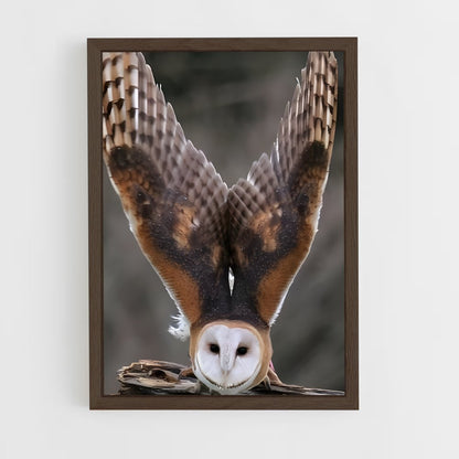 ap-barn owl-3 cadre Bois foncé