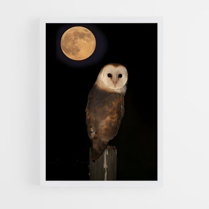 ap-barn owl-5 cadre Blanc
