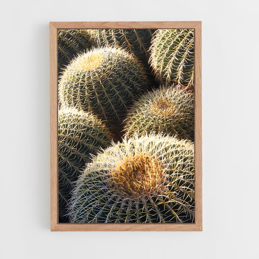 ap-barrel cactus-2 cadre Bois clair