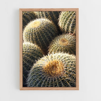 ap-barrel cactus-2 cadre Bois clair