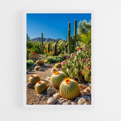 ap-barrel cactus-3 cadre Blanc