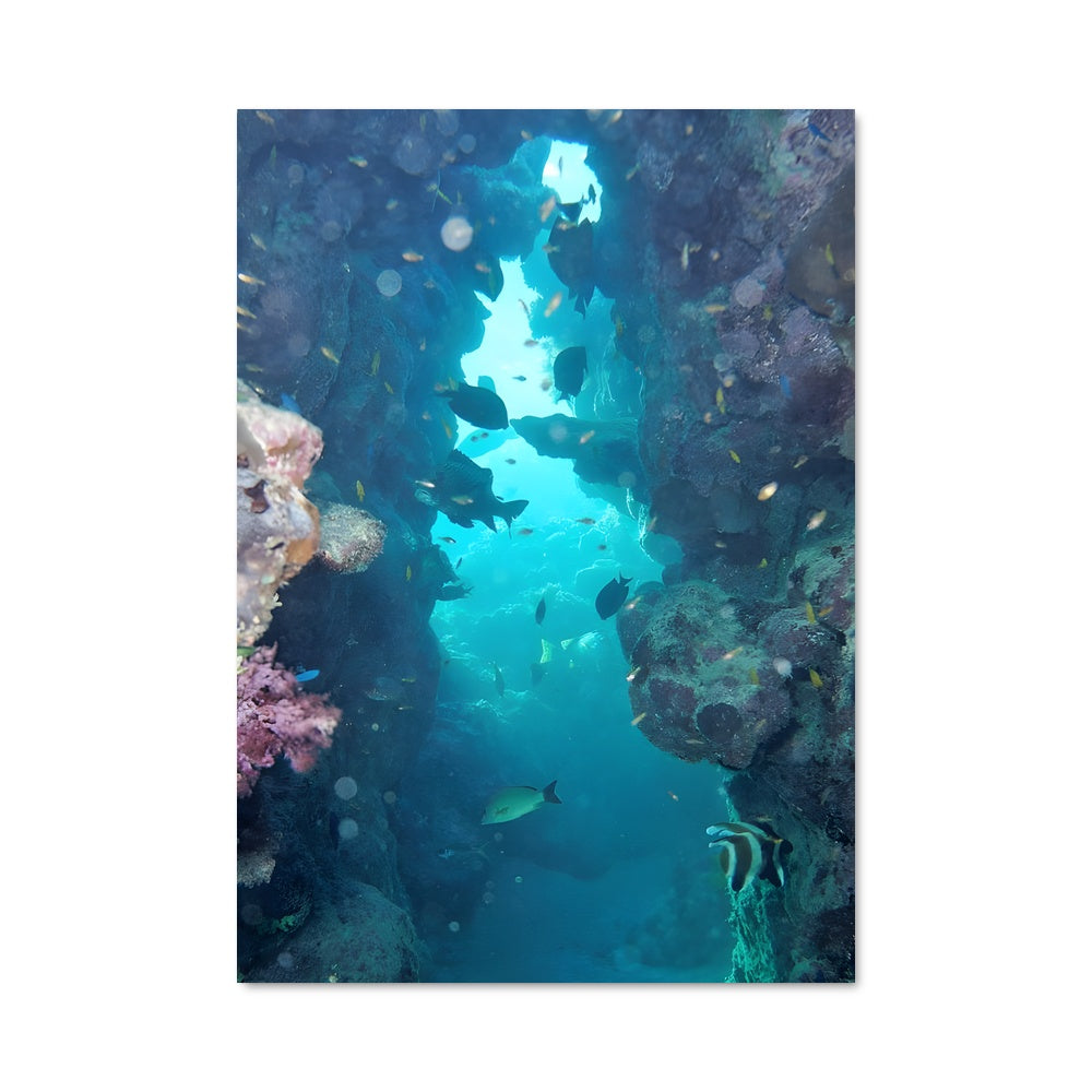 Poster Barrier reef 92639