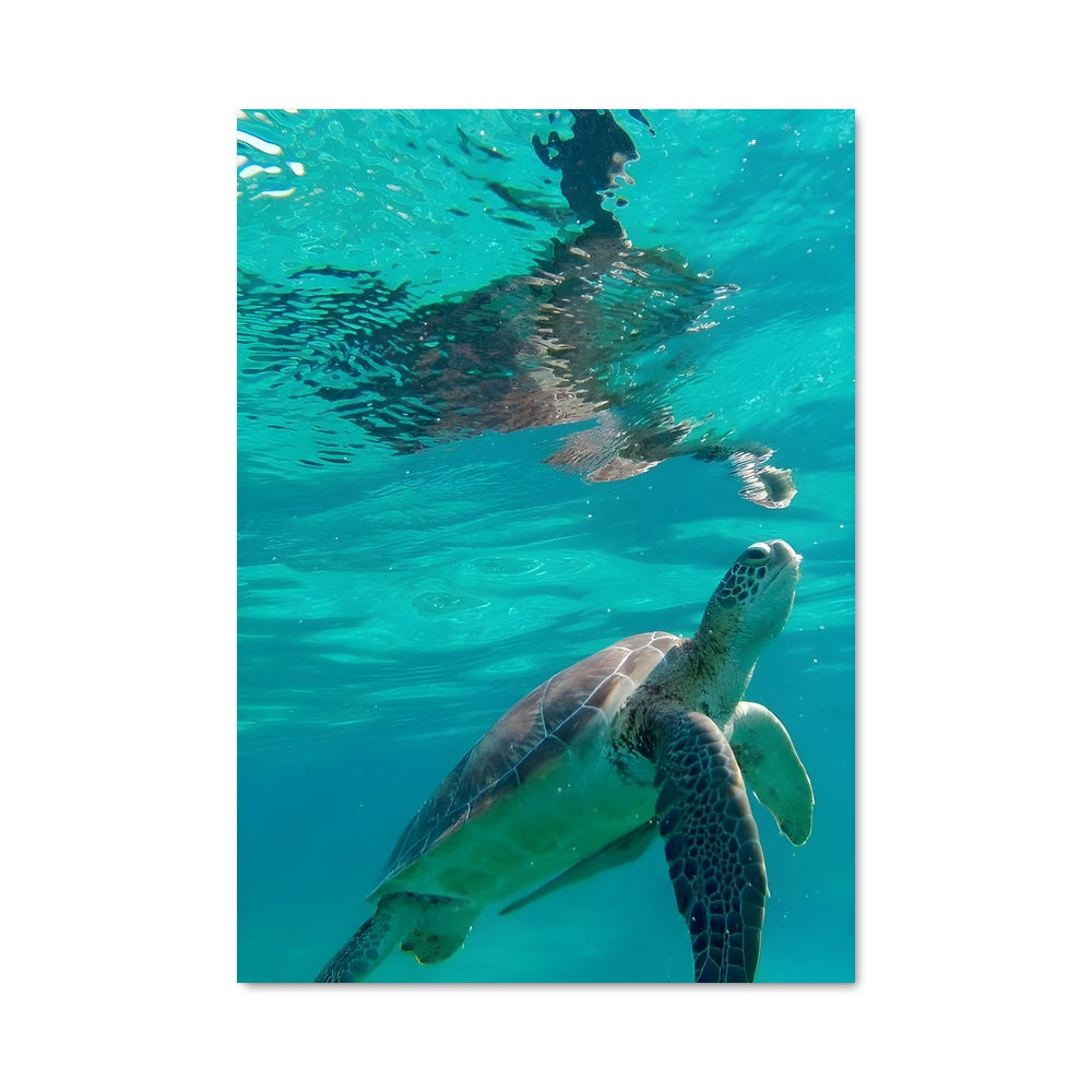 Poster Danse sous les Vagues