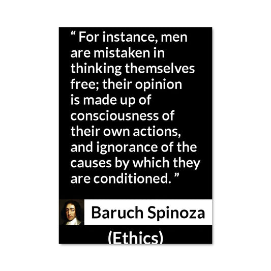 Poster Spinoza's Wisdom