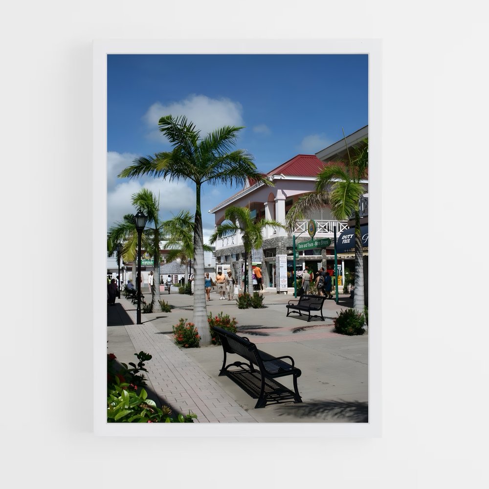 ap-basseterre-2 cadre Blanc