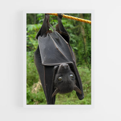 ap-bat-2 cadre Blanc