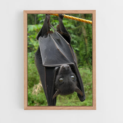 ap-bat-2 cadre Bois clair