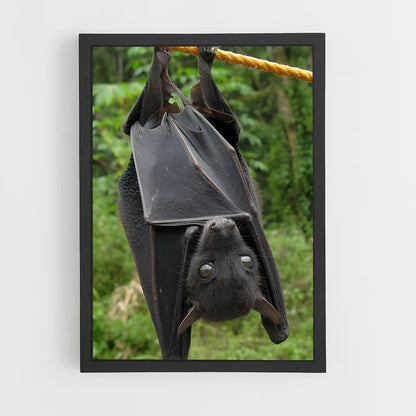 ap-bat-2 cadre Noir