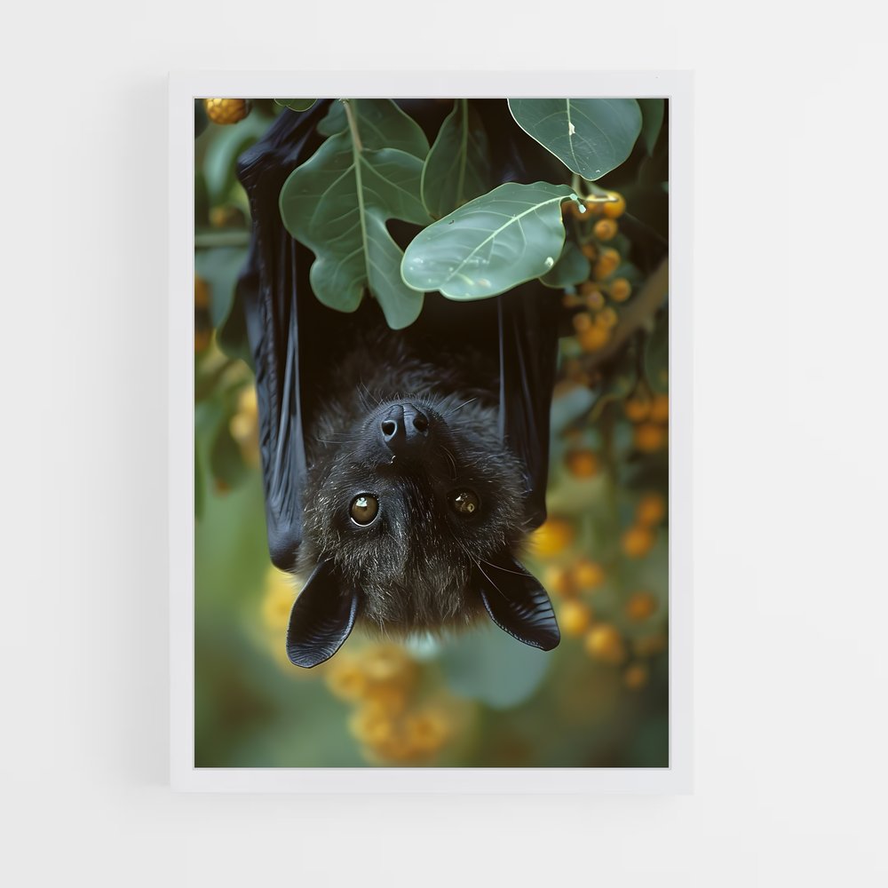 ap-bat-4 cadre Blanc
