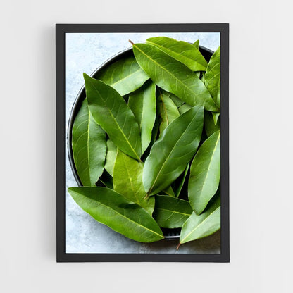 ap-bay leaves-7 cadre Noir