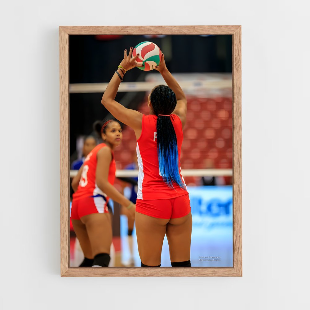 ap-beach volleyball nations cup-5 cadre Bois clair