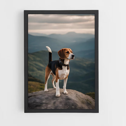 ap-beagle-1 cadre Noir