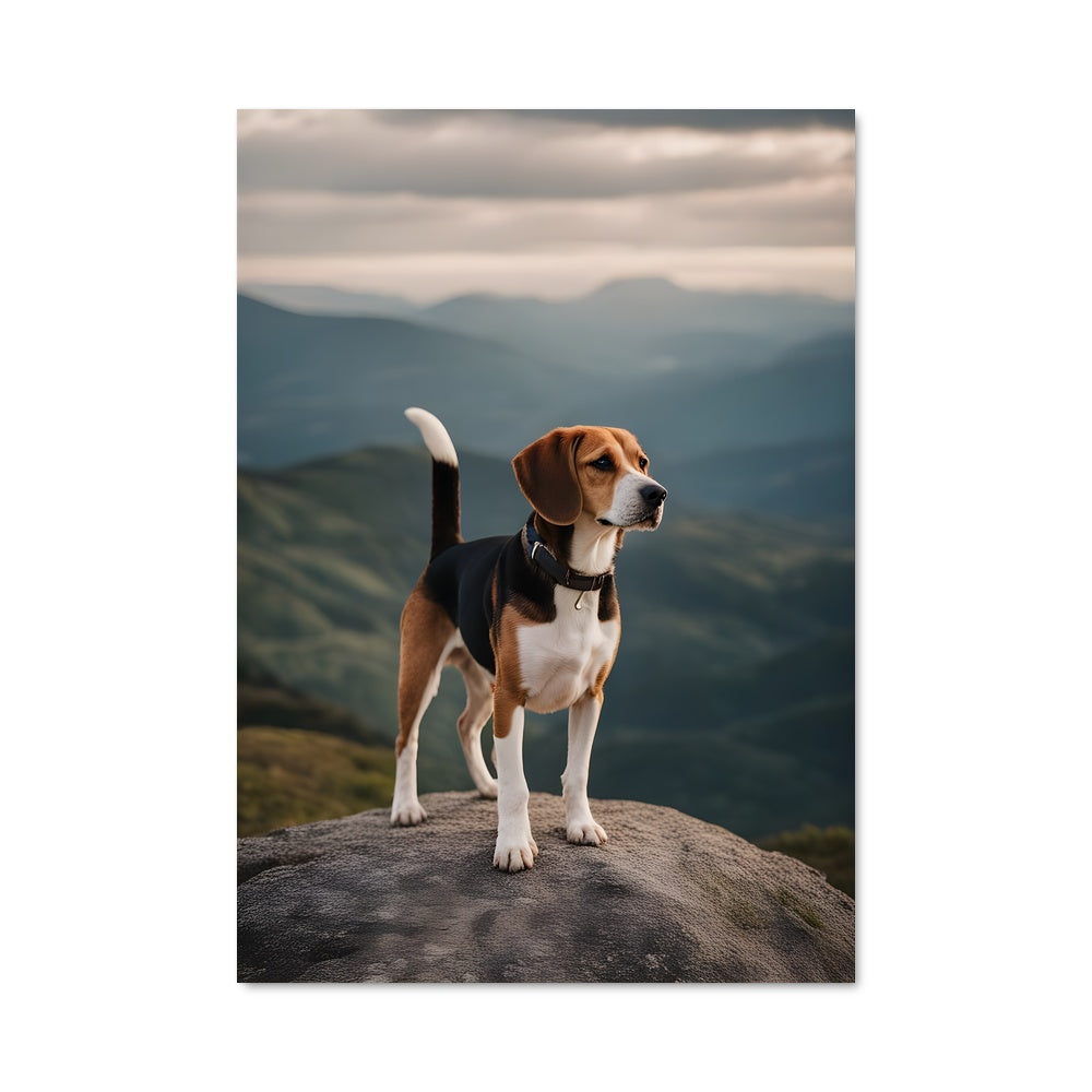 Poster Beagle Summit