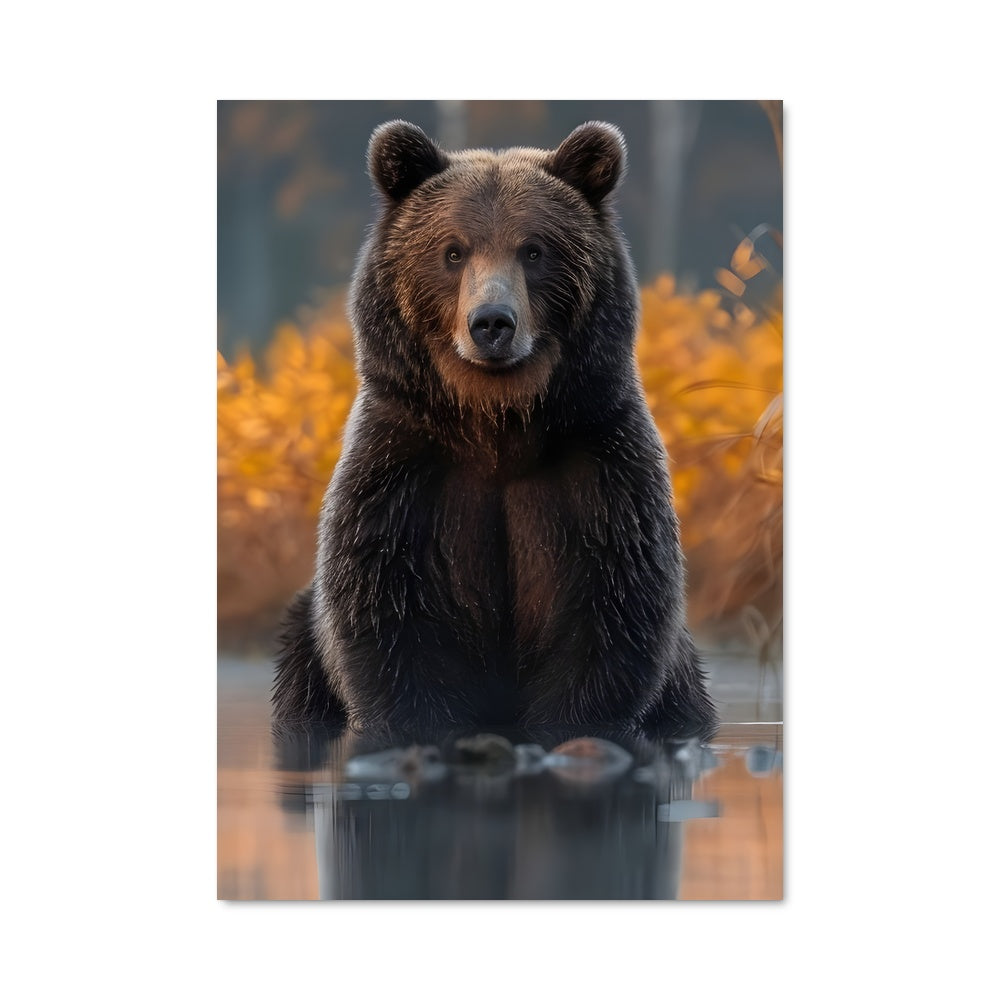 Poster Bear 83100