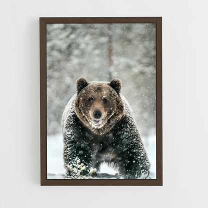 ap-bear-11 cadre Bois foncé