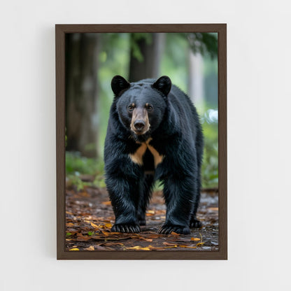 ap-bear-12 cadre Bois foncé