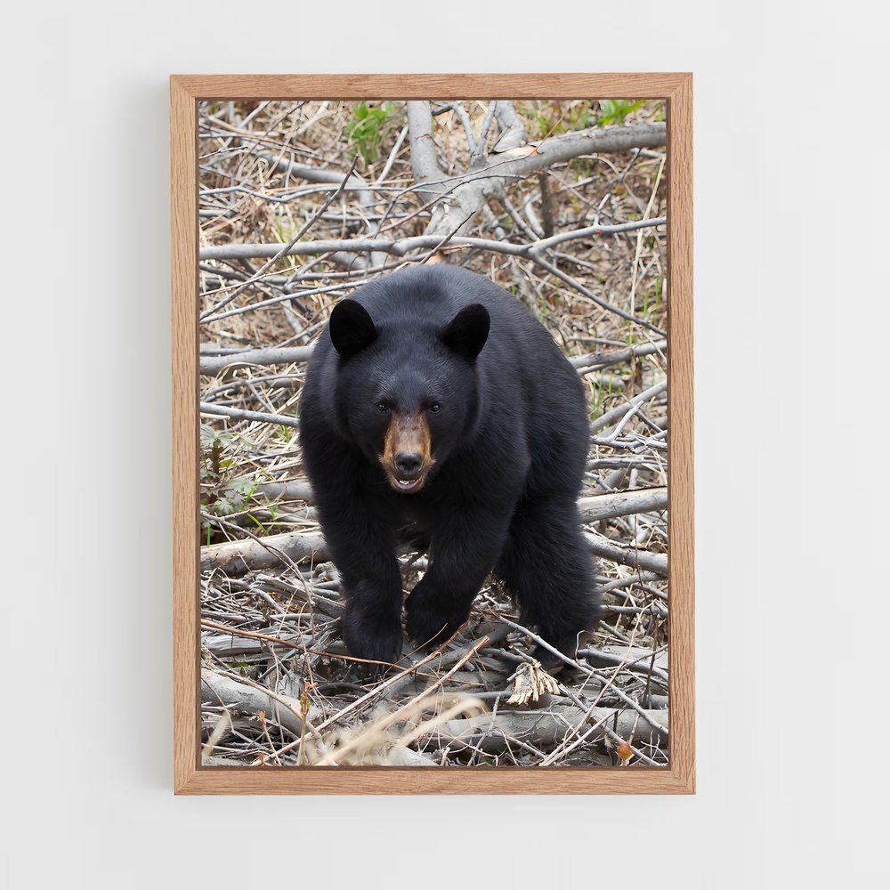 ap-bear-2 cadre Bois clair