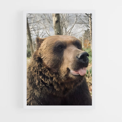 ap-bear-3 cadre Blanc