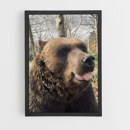 ap-bear-3 cadre Noir