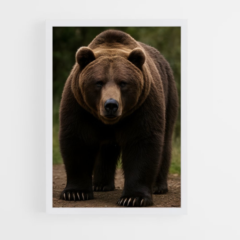 ap-bear-5 cadre Blanc