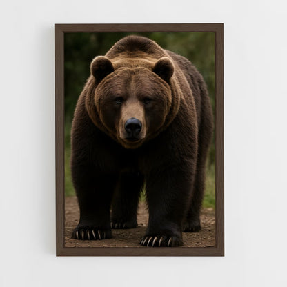 ap-bear-5 cadre Bois foncé