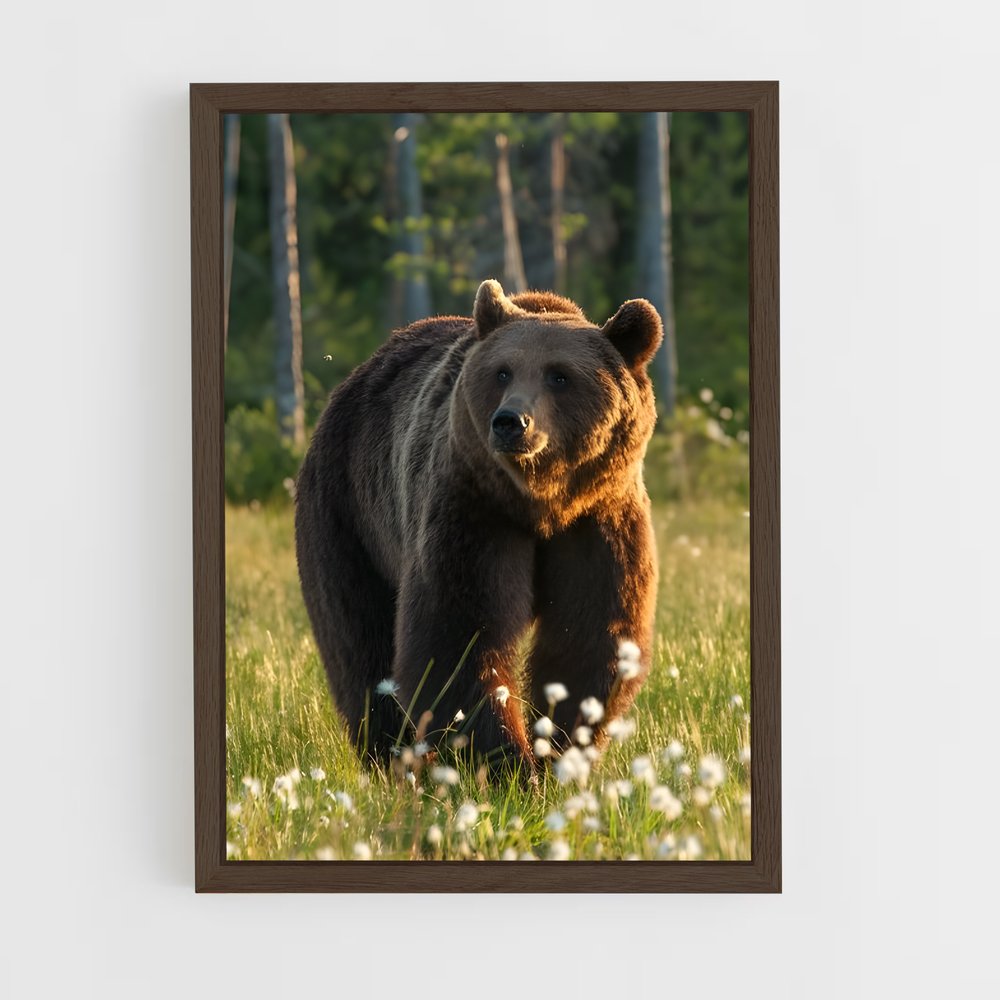 ap-bear-6 cadre Bois foncé