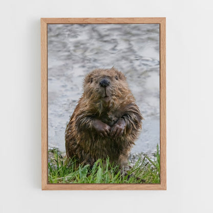 ap-beaver-2 cadre Bois clair