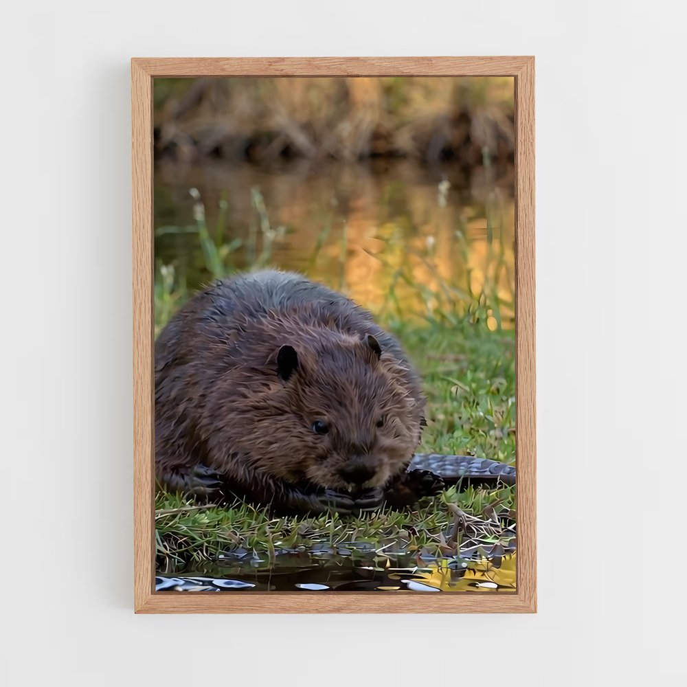 ap-beaver-3 cadre Bois clair