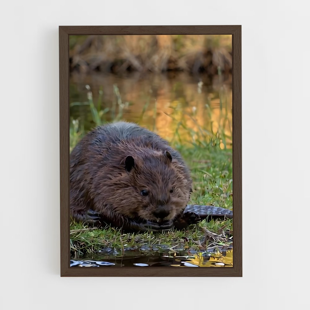 ap-beaver-3 cadre Bois foncé