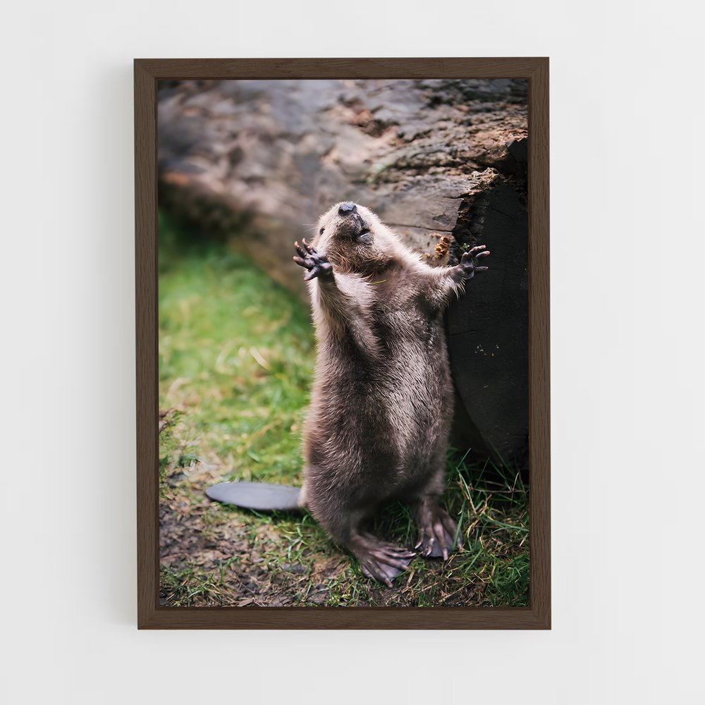 ap-beaver-4 cadre Bois foncé