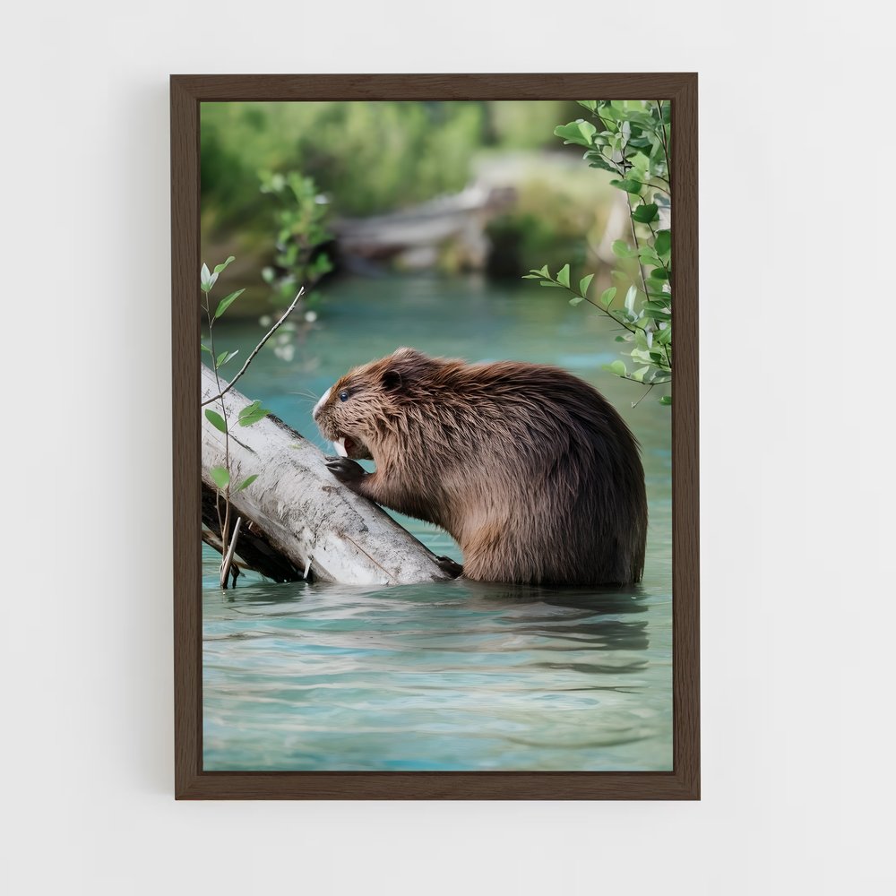 ap-beaver-7 cadre Bois foncé