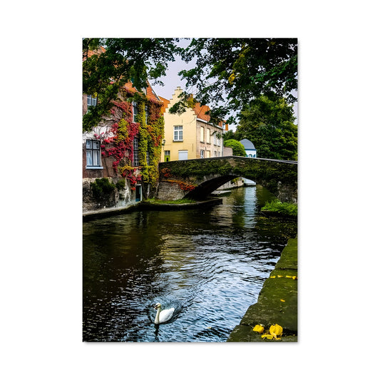 Poster Rivières de Belgique