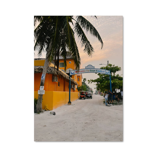 Poster Palmiers de Belize