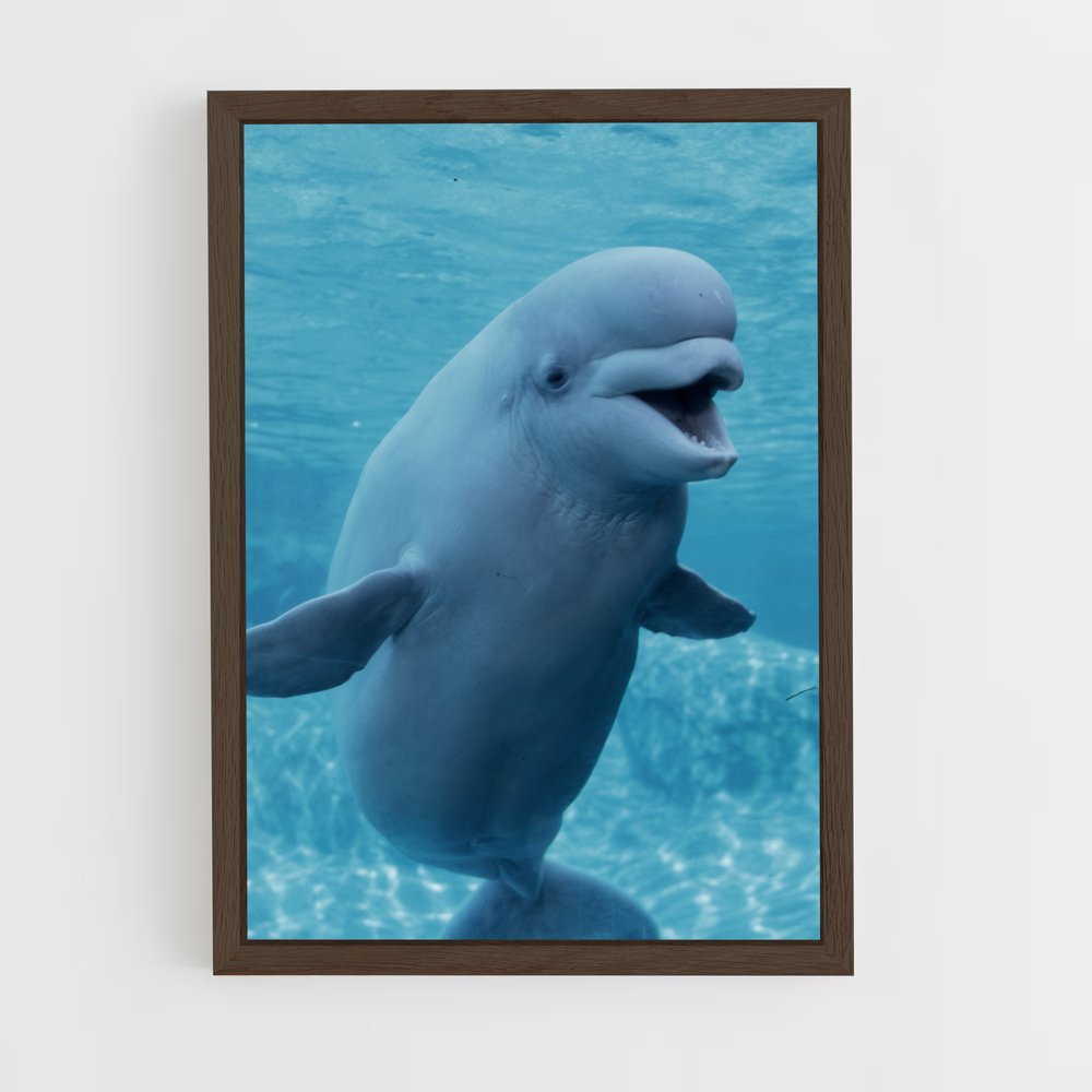 ap-beluga whale-1 cadre Bois foncé