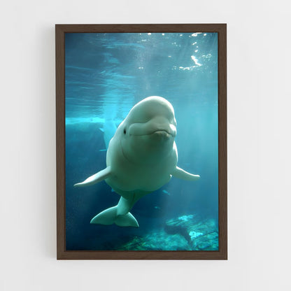 ap-beluga whale-2 cadre Bois foncé