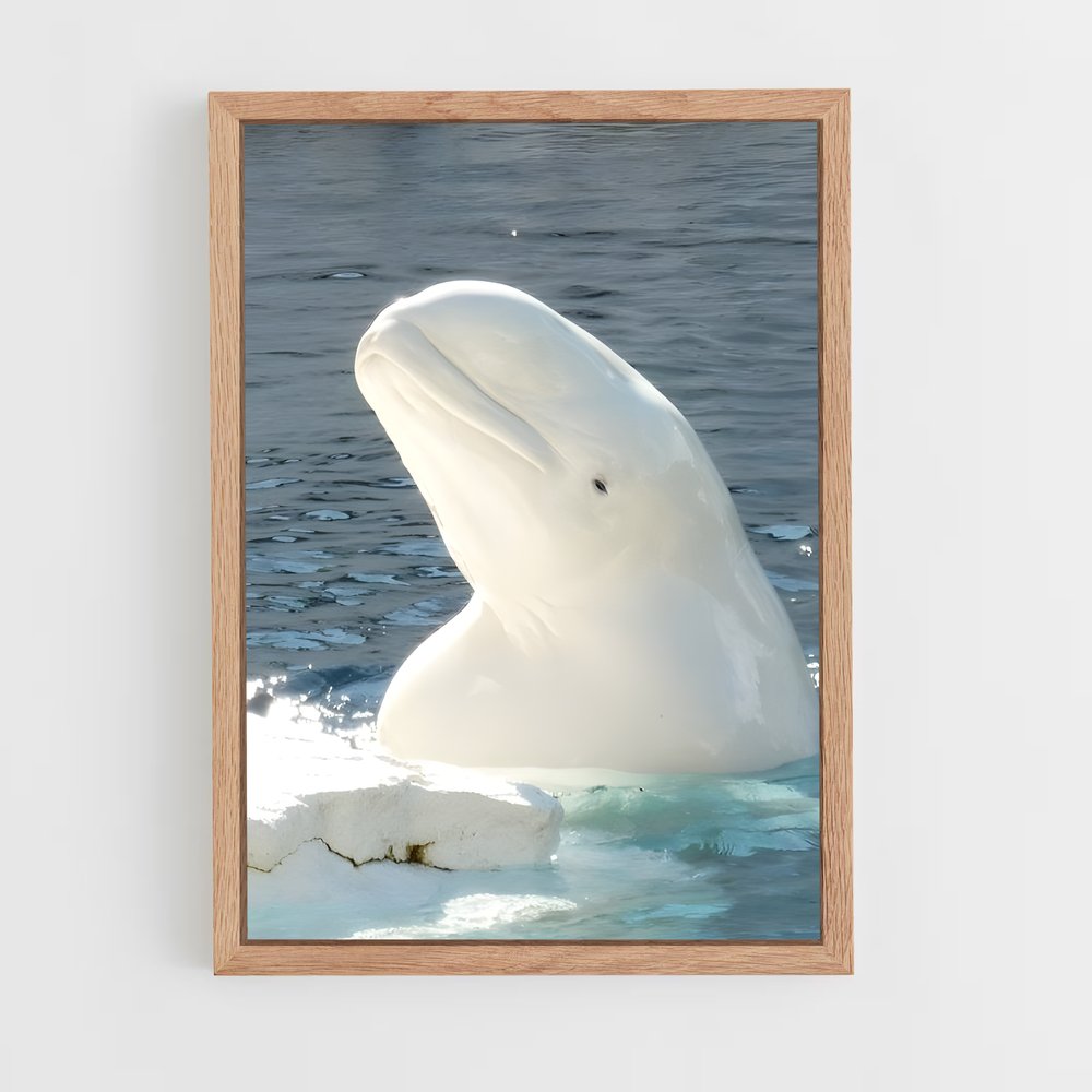 ap-beluga whale-3 cadre Bois clair
