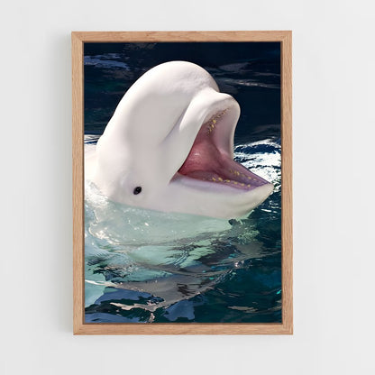 ap-beluga whale-4 cadre Bois clair