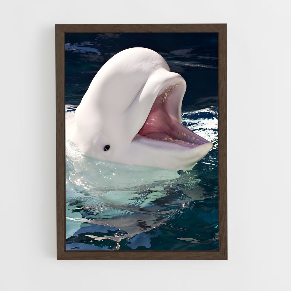 ap-beluga whale-4 cadre Bois foncé
