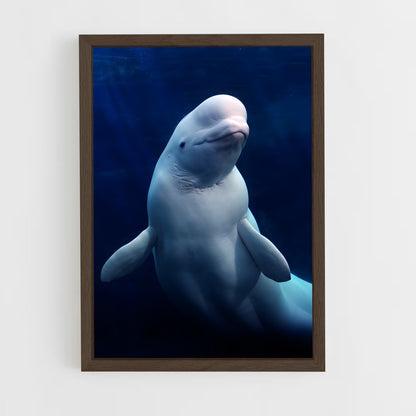 ap-beluga whale-5 cadre Bois foncé