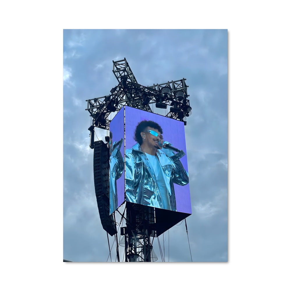 Poster Prince à Rio